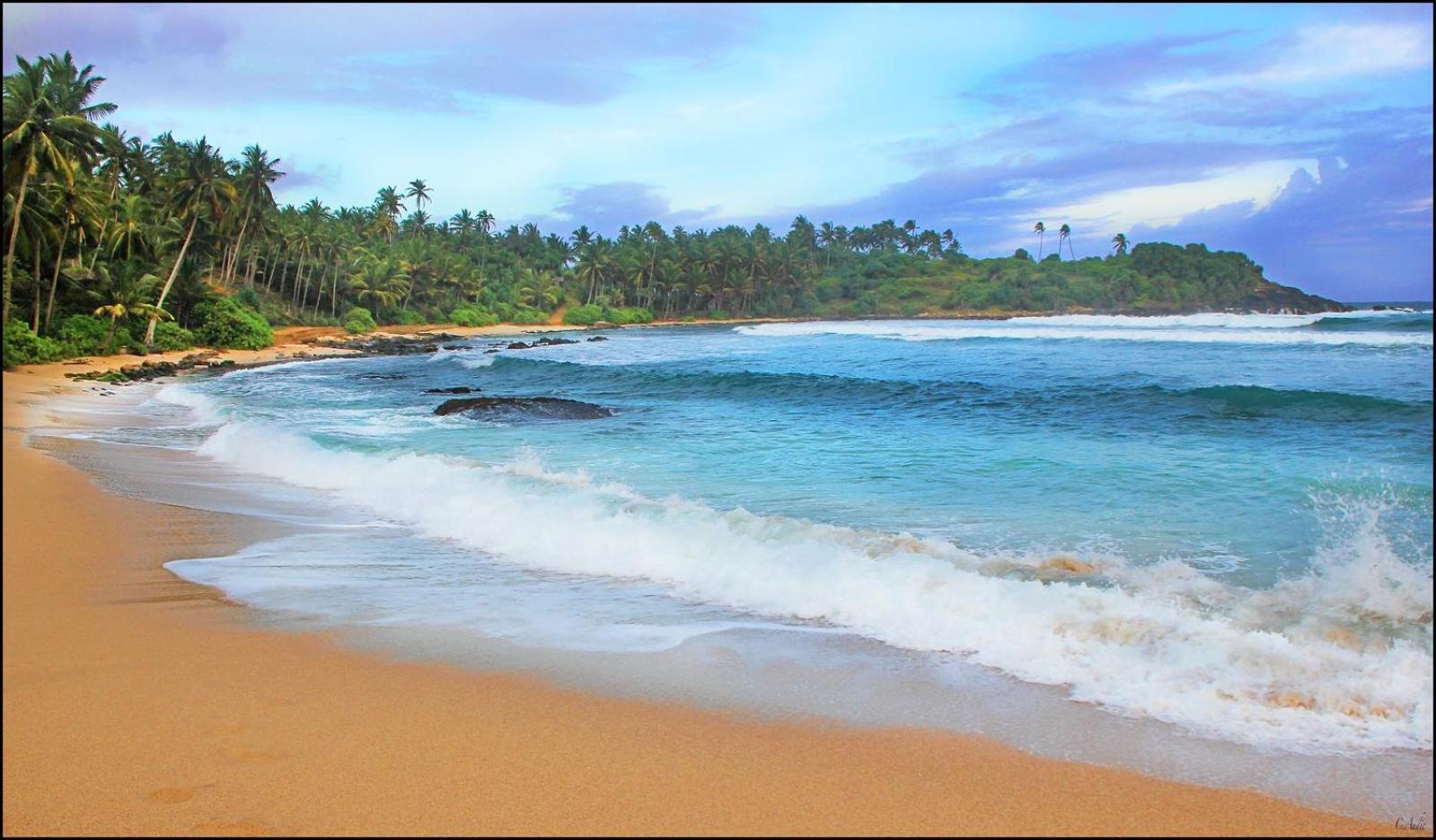 Thara Inn Villa Dikwella Bagian luar foto